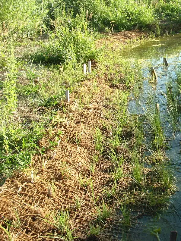 Fibra vegetal no solo